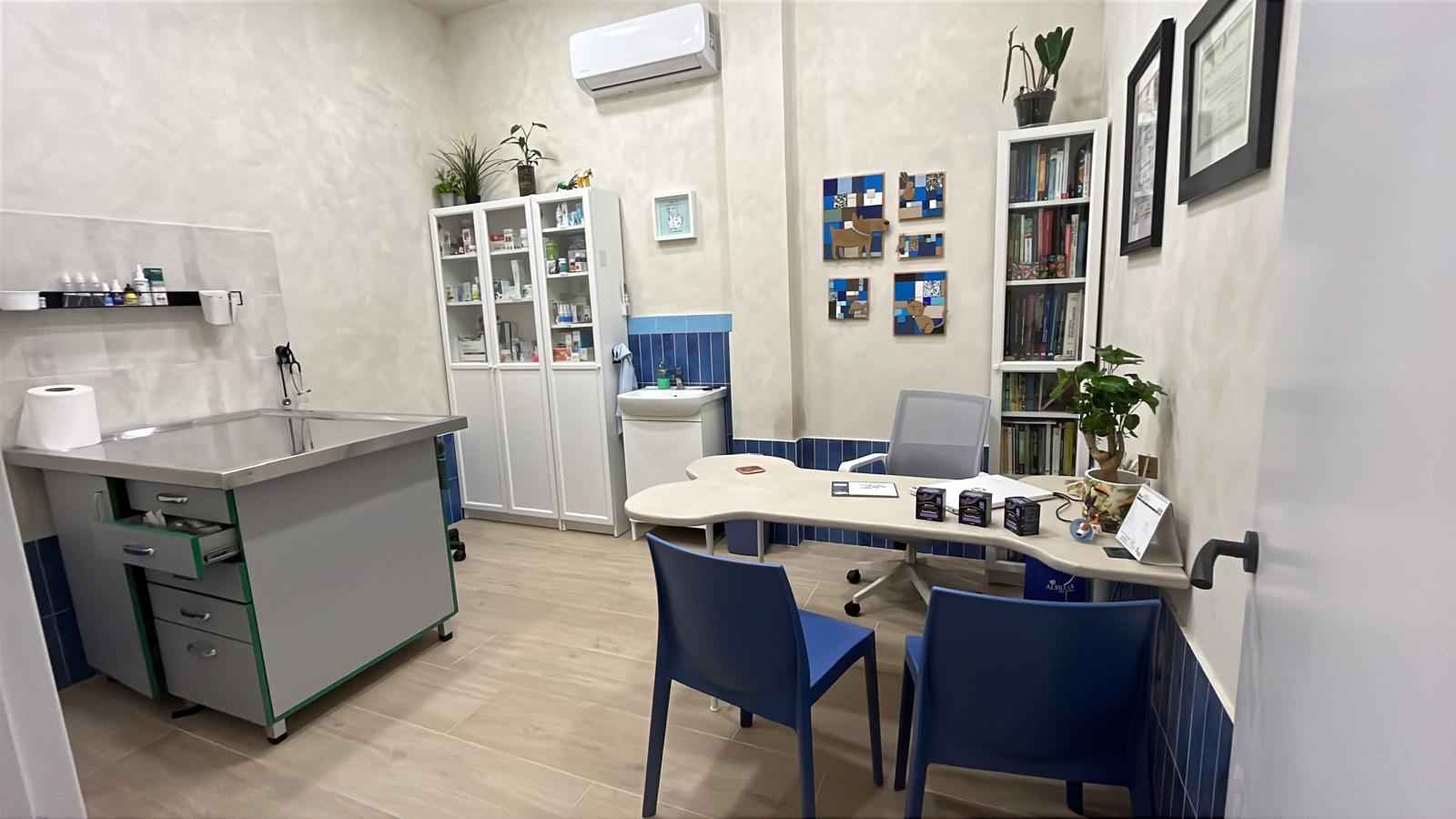 Consulta veterinaria equipada de Clínica Vivaria